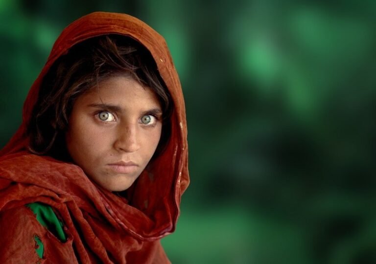 McCurry alla Gam. Le fotografie che hanno rapito 35mila visitatori